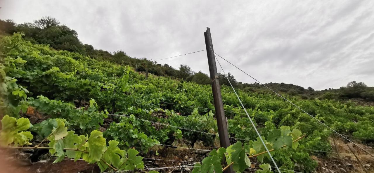 Vina Cazoga Vila Sober Exterior foto