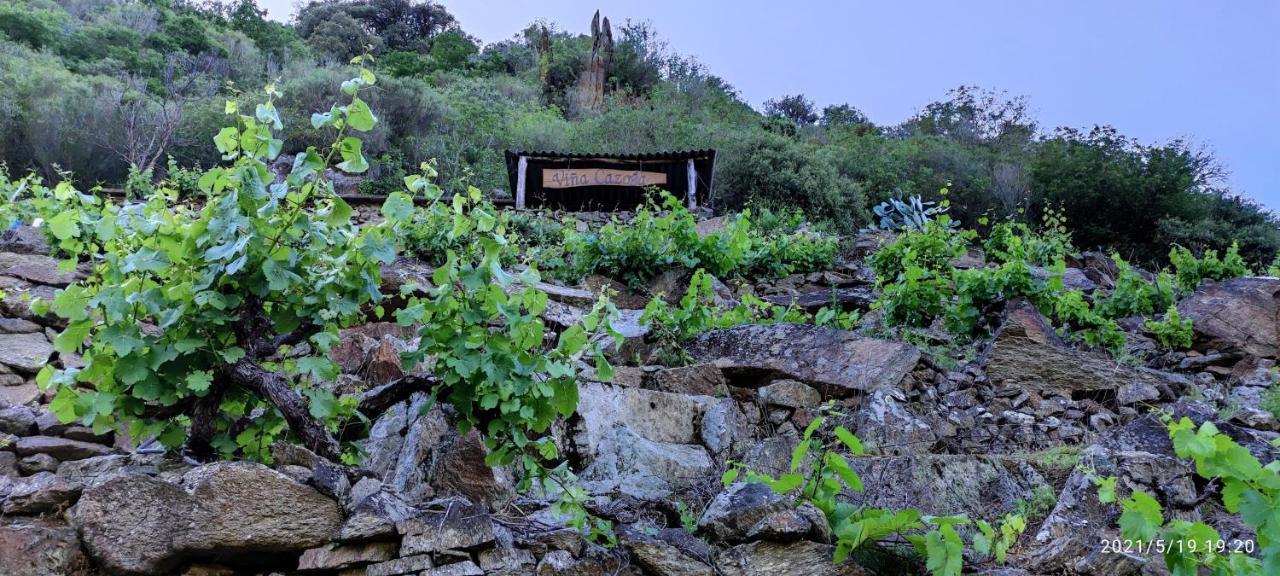 Vina Cazoga Vila Sober Exterior foto
